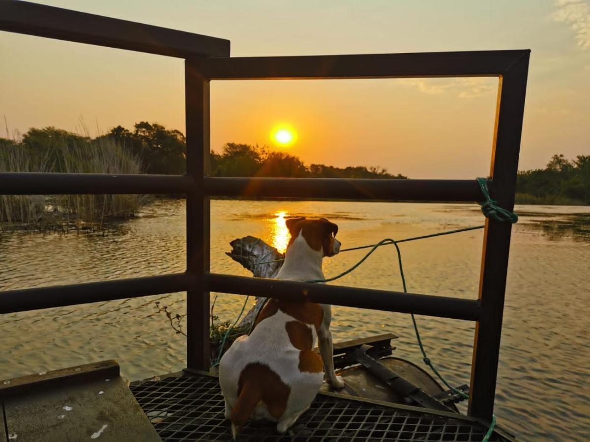 Hippo Retreat & Tiger Fishing Komatipoort Ngoại thất bức ảnh