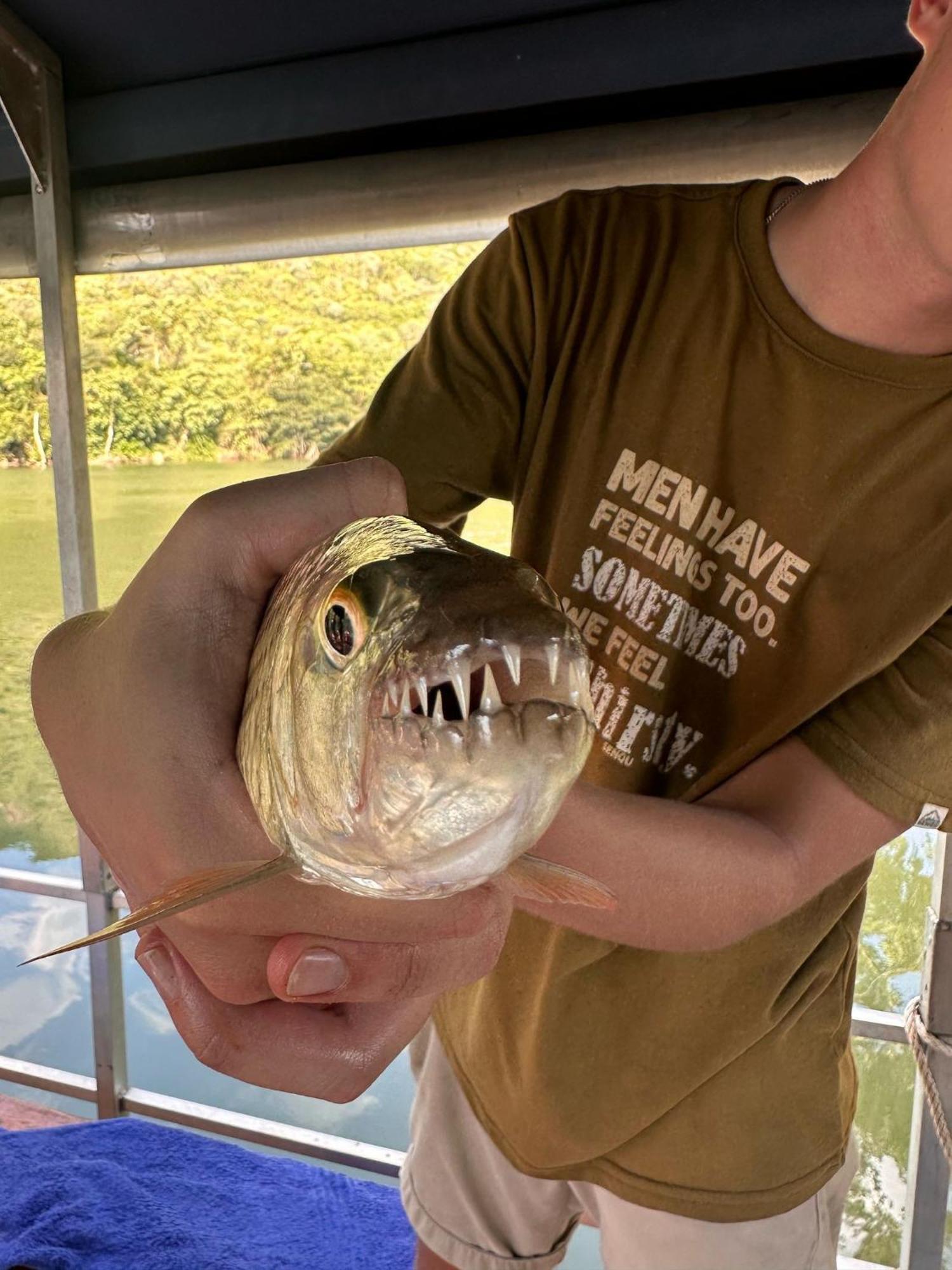 Hippo Retreat & Tiger Fishing Komatipoort Ngoại thất bức ảnh